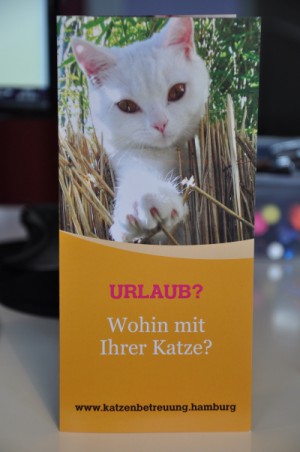 GOLD CAT Katzenbetreuung Hamburg Flyer - Urlaub- Wohin mit Ihrer Katze